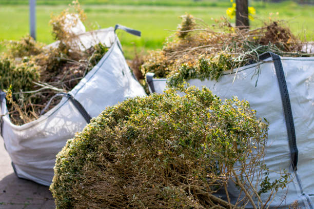 Best Basement Cleanout Services  in Headland, AL
